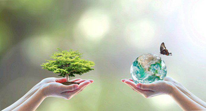 The conservation of animal and plant species, as agreed at the UN World Summit on Nature in Montreal, also concerns businesses and investors. (Image: Shutterstock.com/Chinnapo)